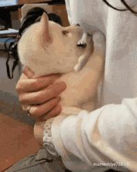 女装大佬怎么变装的,女装大佬教你如何变成女孩子