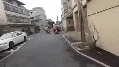 “是小蛇出了轨，还是青蛙劈了腿？”这是现实版的美杜莎？哈哈