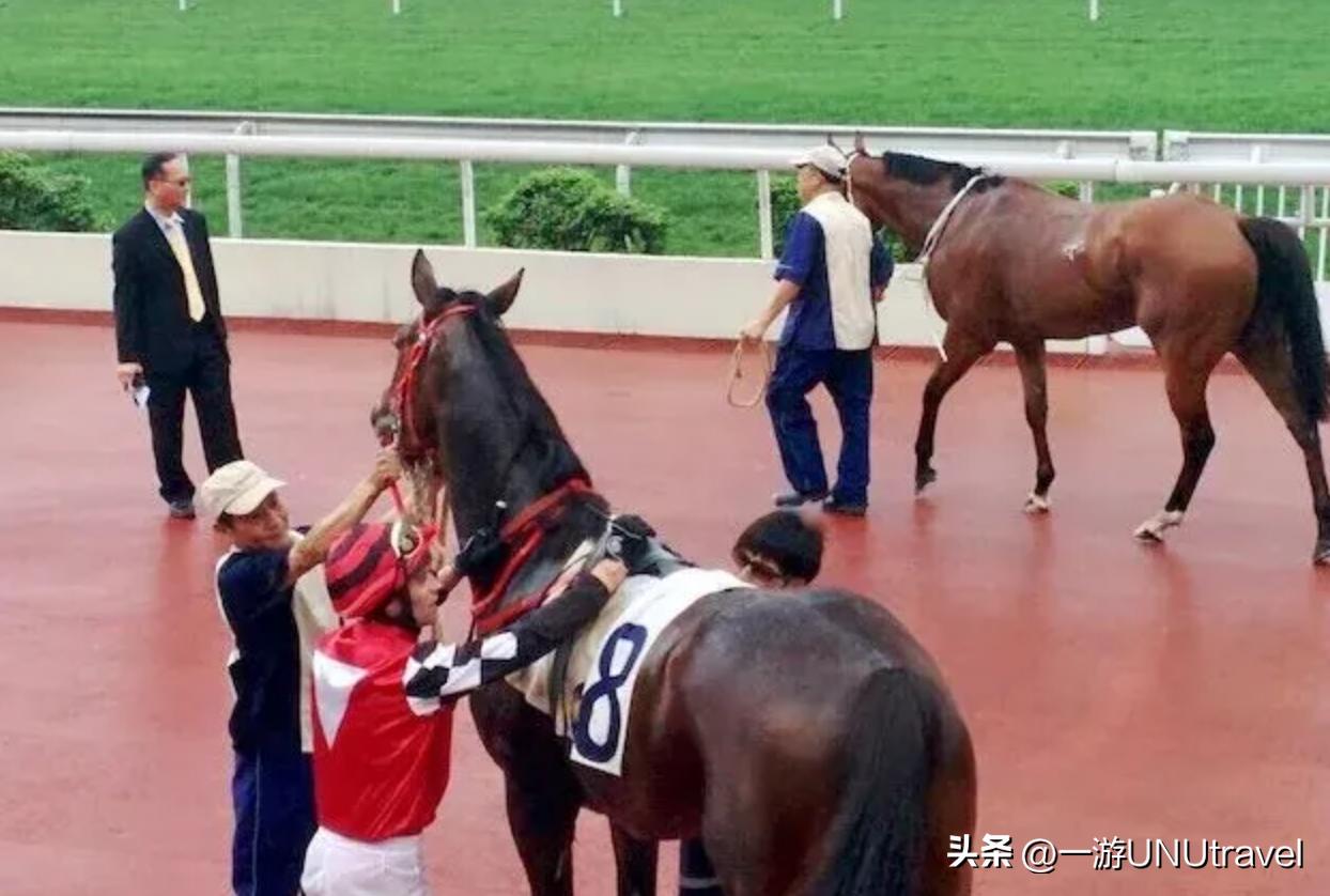 你了解香港赛马吗?这篇文章告诉你怎么去赛马会玩!
