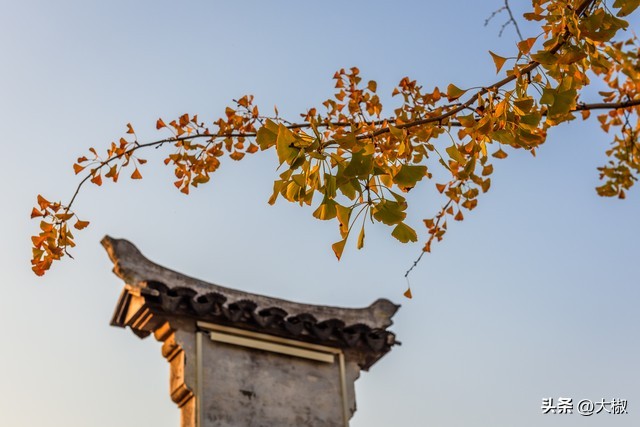 钱塘江上潮信来实景,钱塘江潮信什么意思