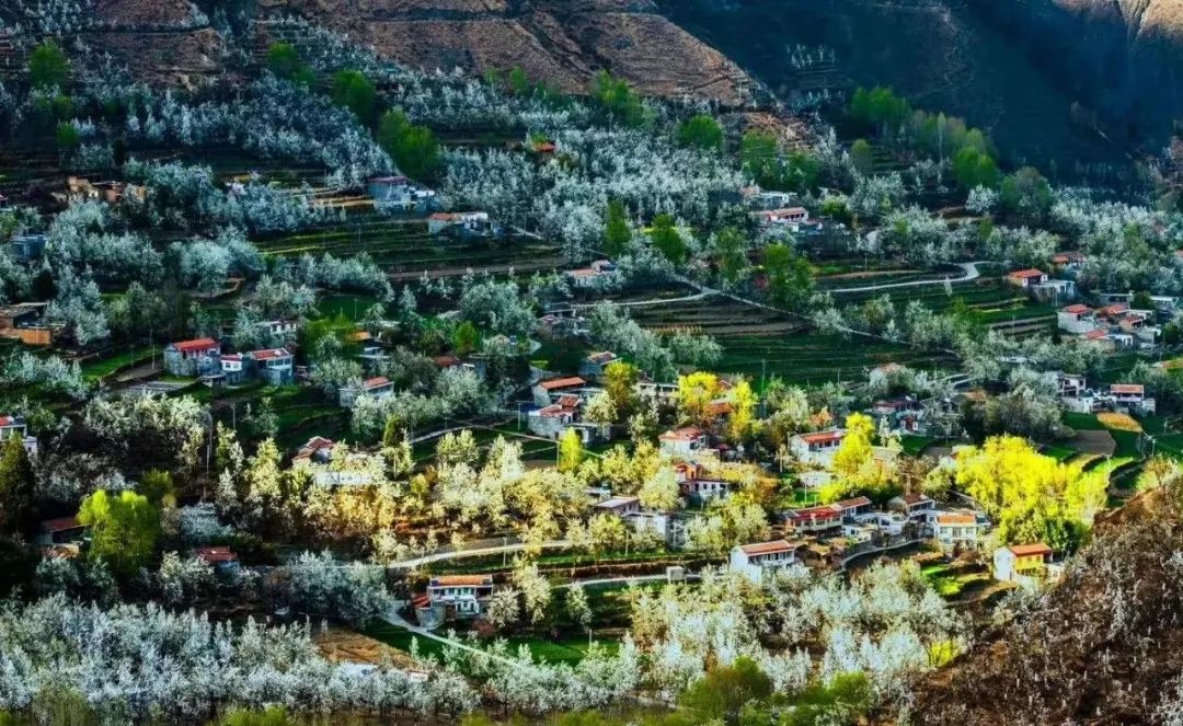 甘孜文旅局长化身侠客火出圈,火出圈啦