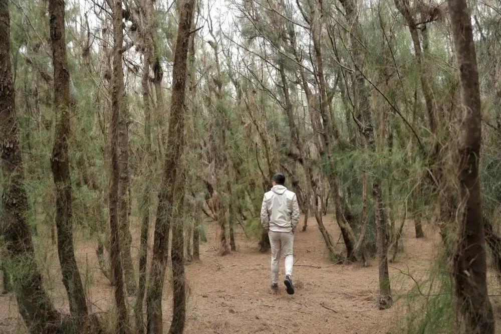 去“光明之城”追宋元文化，访最美海岸线，探索自然与人之不凡