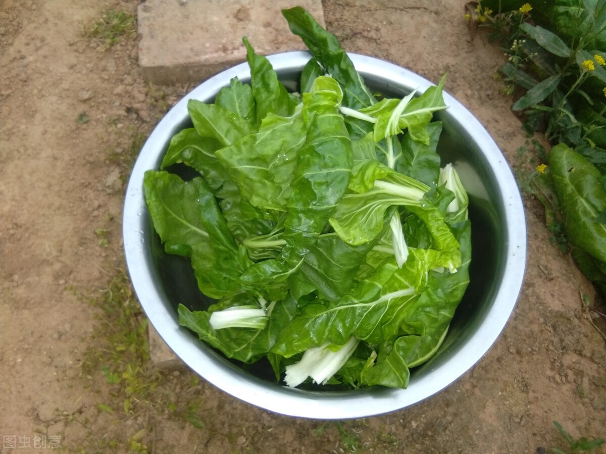 南方常吃的蔬菜有哪些,北方常见蔬菜有哪些