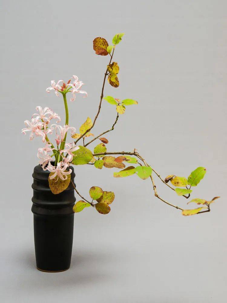 日式插花小原流花道,日式插花的13个基本技巧