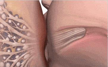 四个月宝宝奶水不足怎样追奶,宝宝四个月奶水不太够求追奶方法