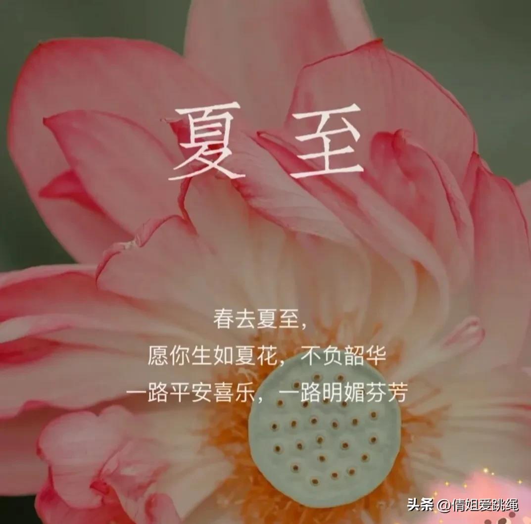 夏至节气的简介文字加图片,二十四节气夏至图片配文字