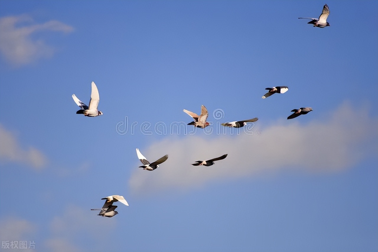 一个足球教练的故事,一个足球教练的成长之路