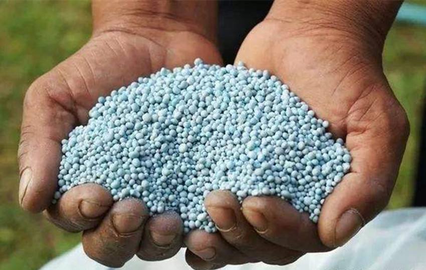 盆土粘稠能少浇水吗,盆土硬如石用什么泡水