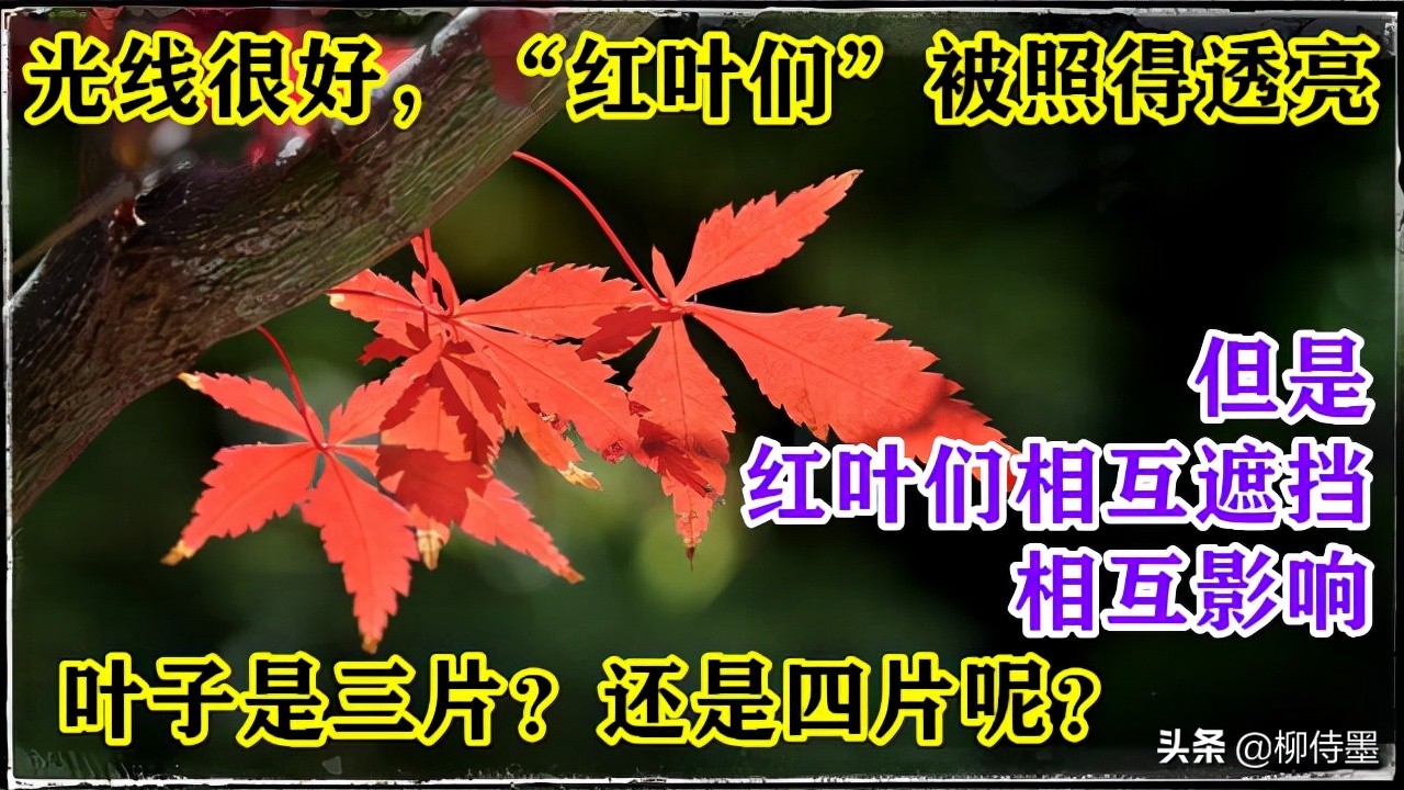 照片拍出来难看怎么修图,照片不能瞎拍