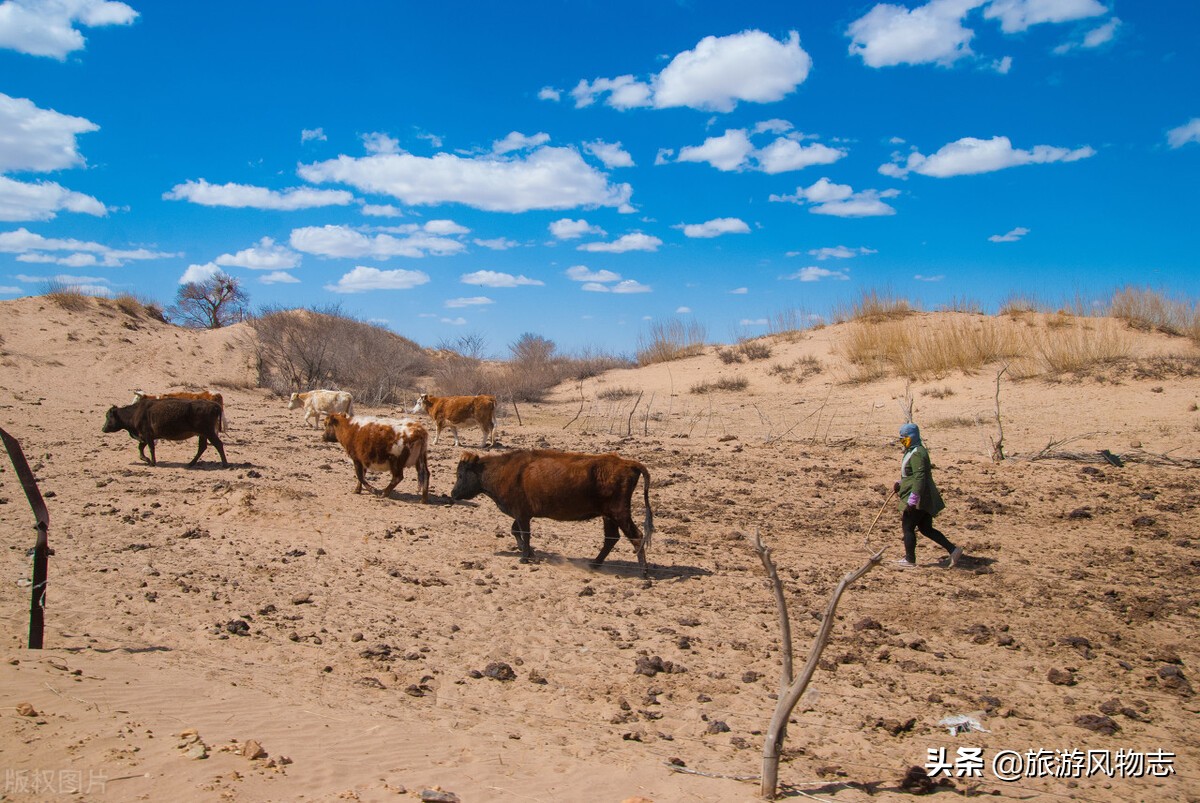 内蒙古四大沙漠有哪些,内蒙古有沙漠的地方有哪些