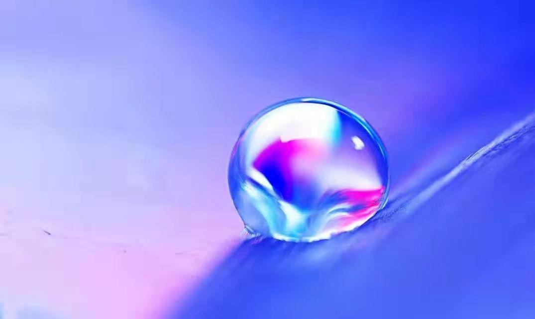 新华学院最新事件,安徽新华学院最新事件