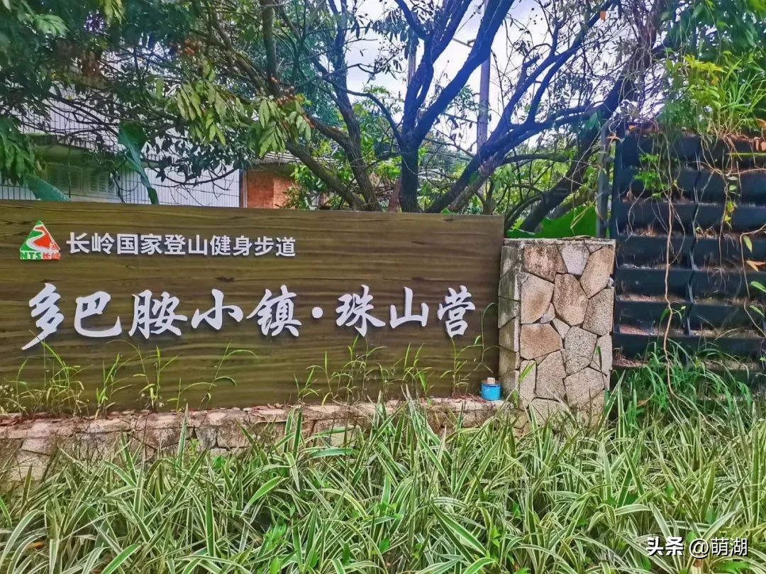 广州这个竹林溯溪胜地玩水,清凉避暑好去处山洞里一起来玩水