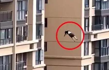 疗愈心伤，拨开乌云重见曙光