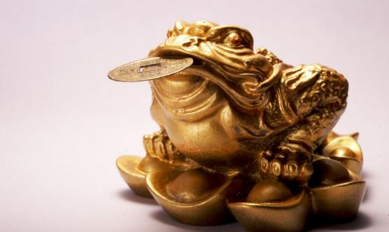 云南独龙江大量金蟾集结，网友：此乃祥瑞之兆，见金蟾就发大财！