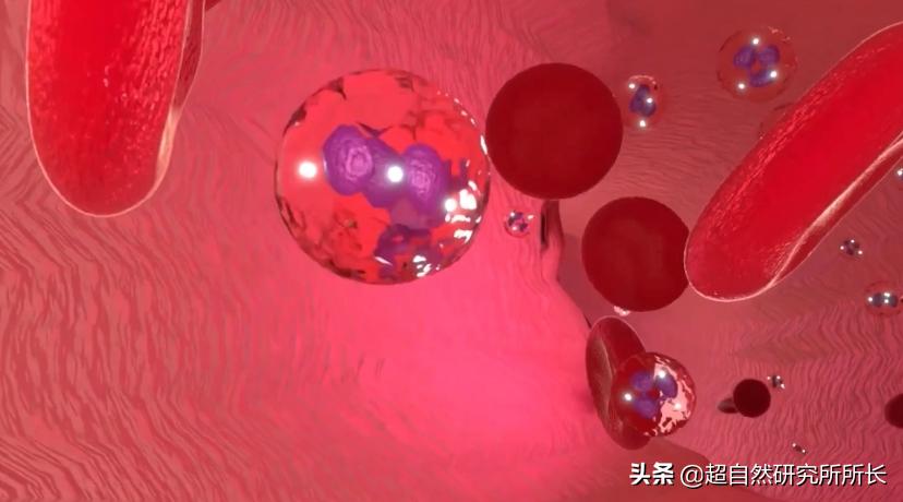 人类真的可能会变丧尸吗,人类有可能变成僵尸吗