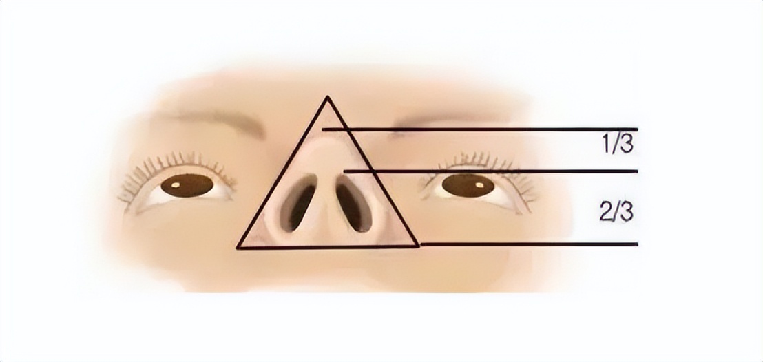 陈国成：鹰钩鼻好看吗？为什么有人奸险阴沉，有人却貌美帅气