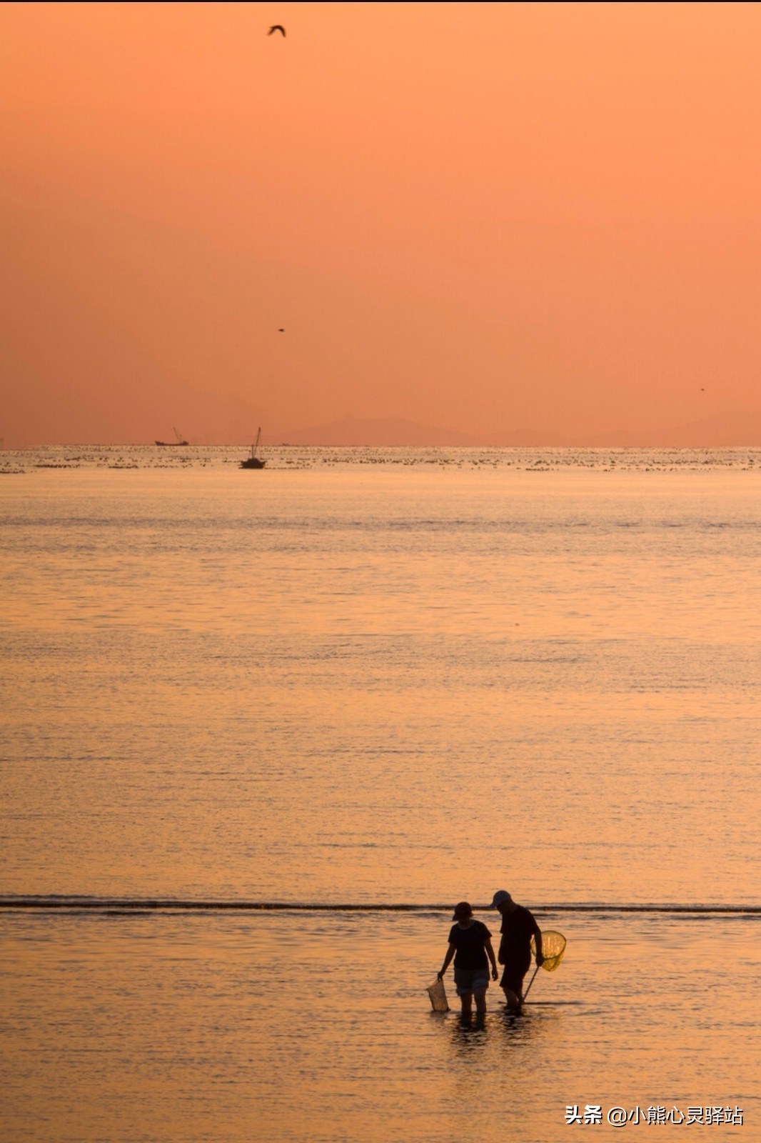 丈夫和妻子分房睡的原因,妻子分房睡我该怎么办