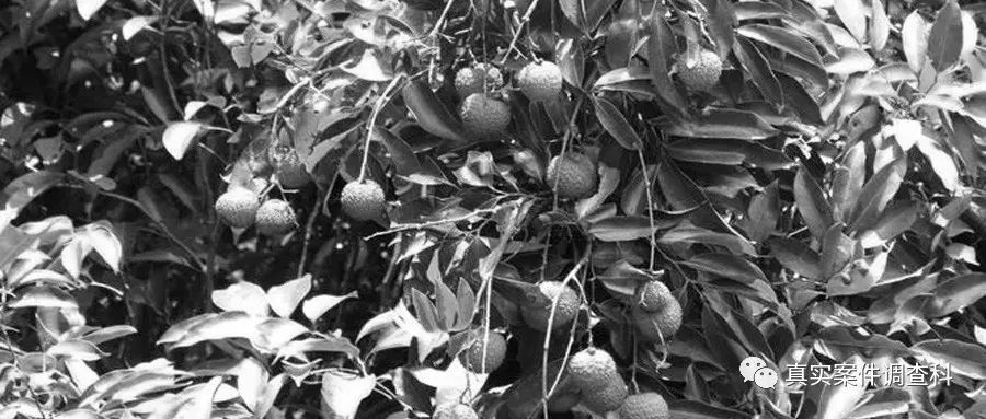 深圳宝安有个出租屋，跟女孩进去，跟壮汉出来丨真案001