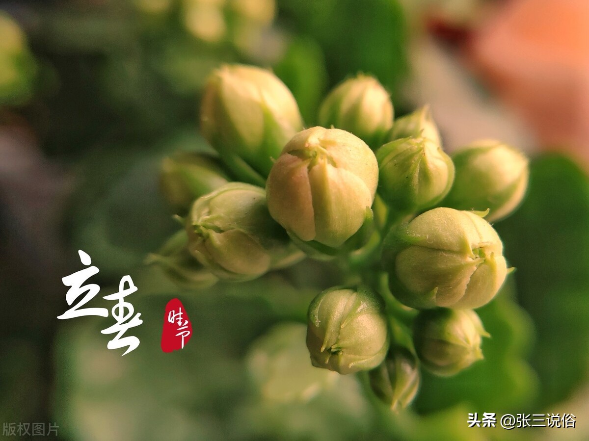 今年是黑兔年哪些生肖需要躲春,2023年兔年躲春前后三天是哪三天