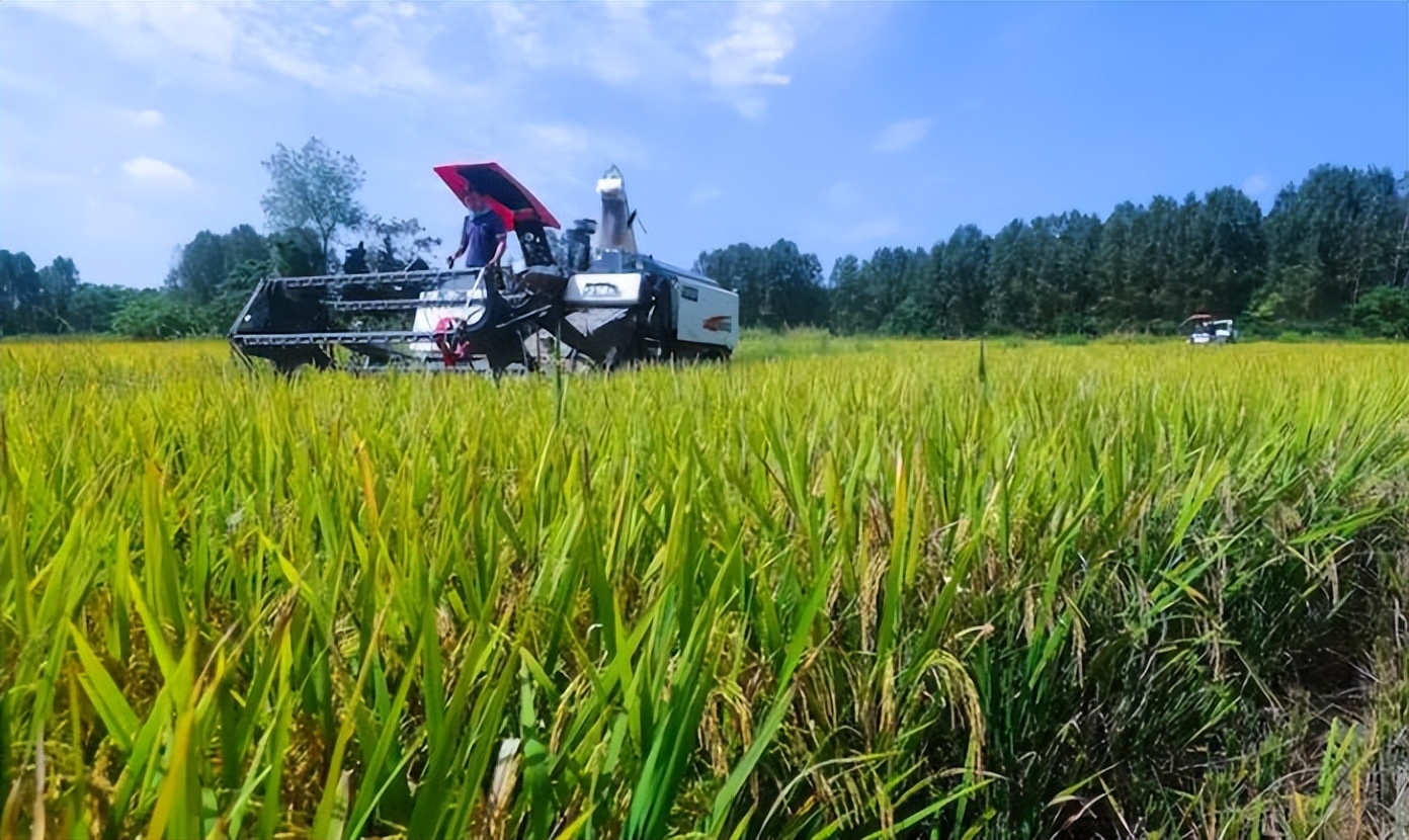 评价河南最宜居城市,河南五大宜居城市