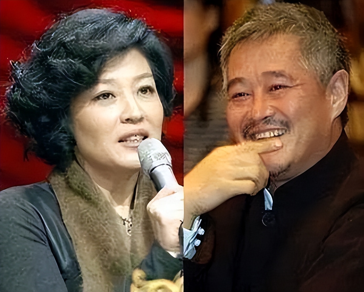 哈文为什么让赵本山上央视舞台,哈文和赵本山一段不为人知的故事