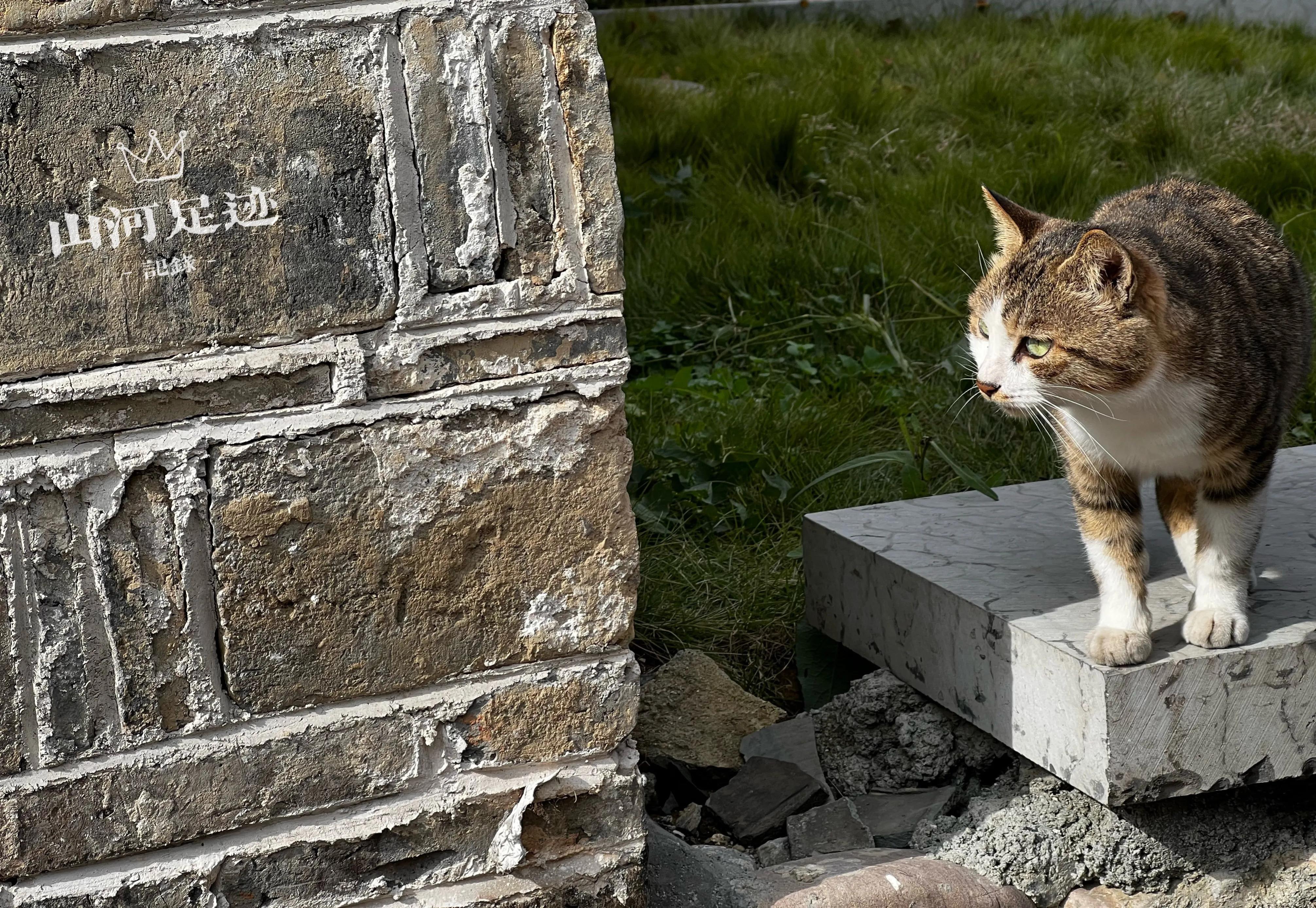 湘西这个古镇怎么样,湘西四大古镇