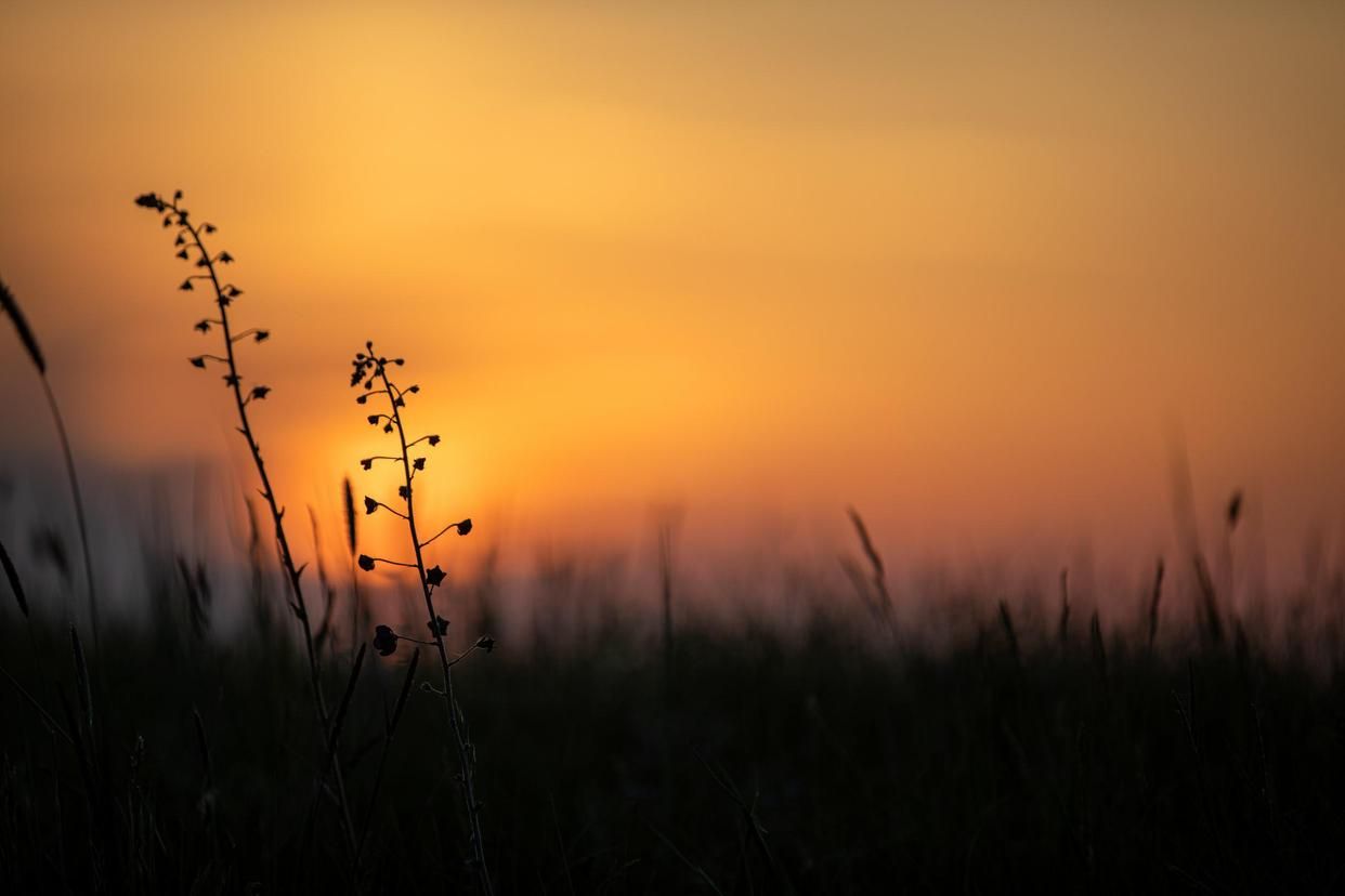 十首古诗词带你领略春夏秋冬,收藏50首夏日古诗词带你清凉一夏