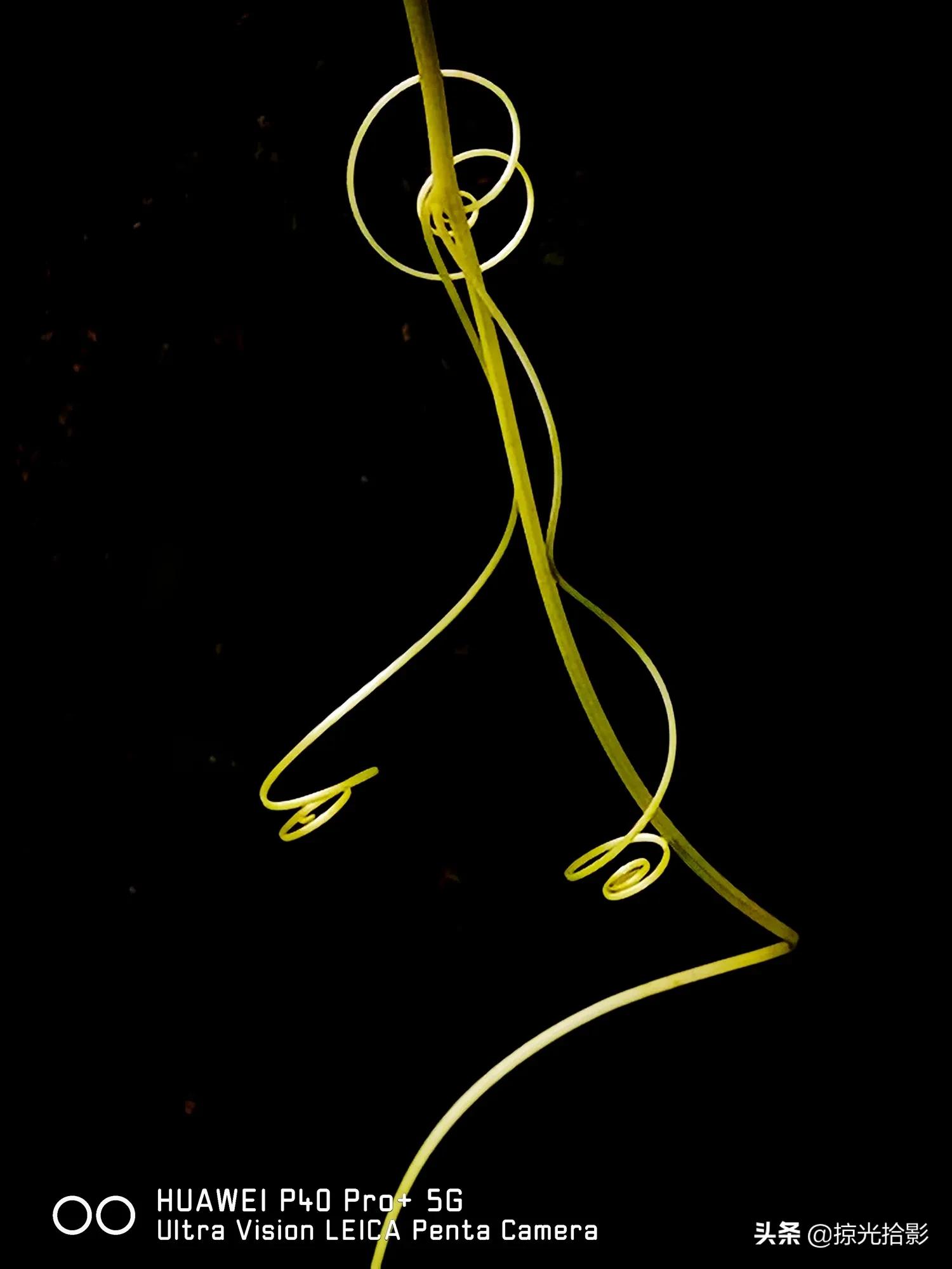 手机拍照用专业模式还是自动模式,手机摄影专业模式怎么拍细节