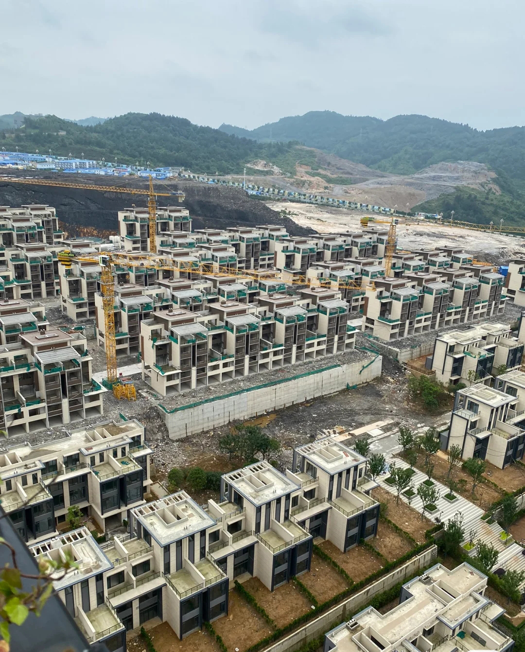 联排别墅和独栋的优劣势,市区联排别墅前景