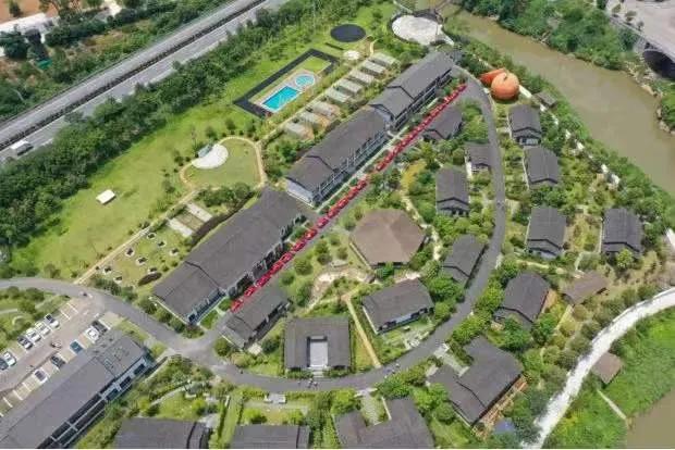 广西农垦感想,广西农垦改革