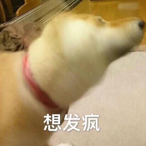 搬家必备10种神器,打包箱搬家神器