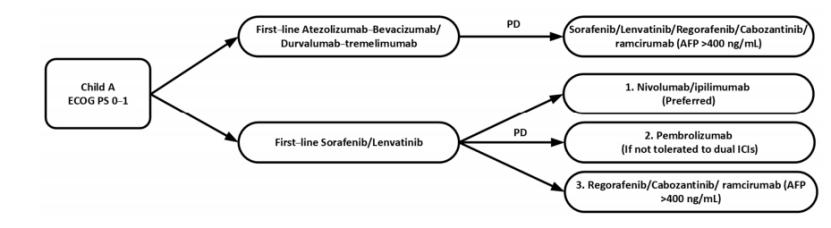 肝癌晚期：国际上常见治疗药物有哪些？