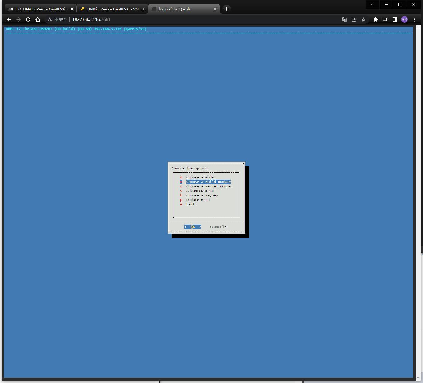 esxi虚拟化群晖安装教程,esxi给群晖nas扩容