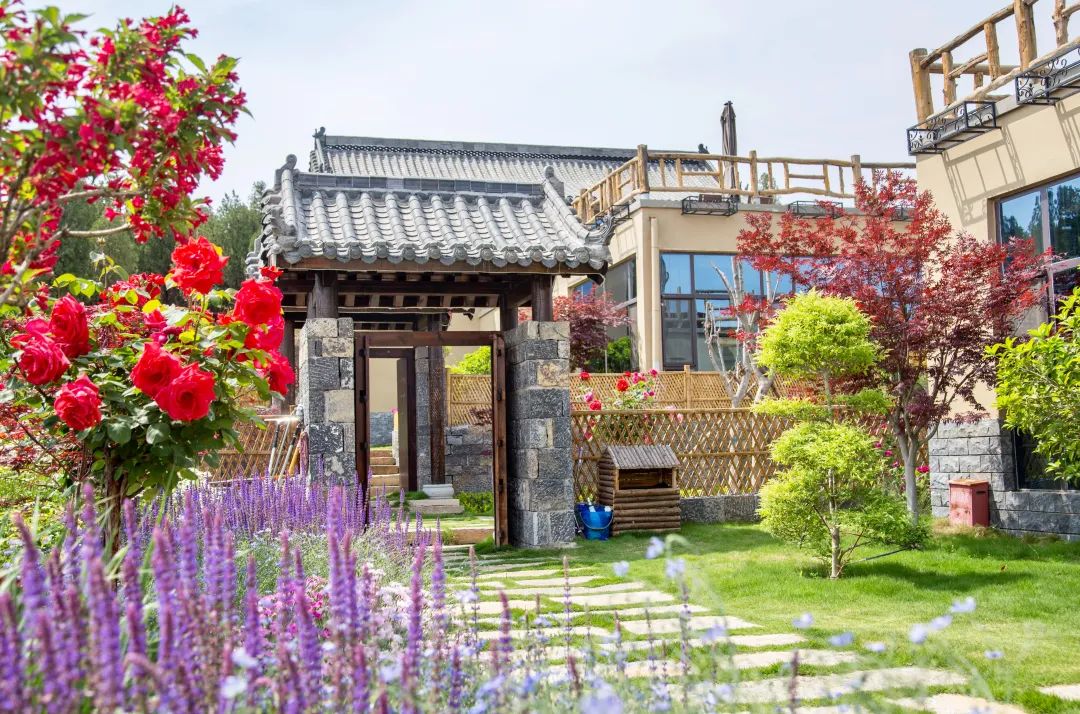 大理苍山网红民宿利舍,苍山民宿