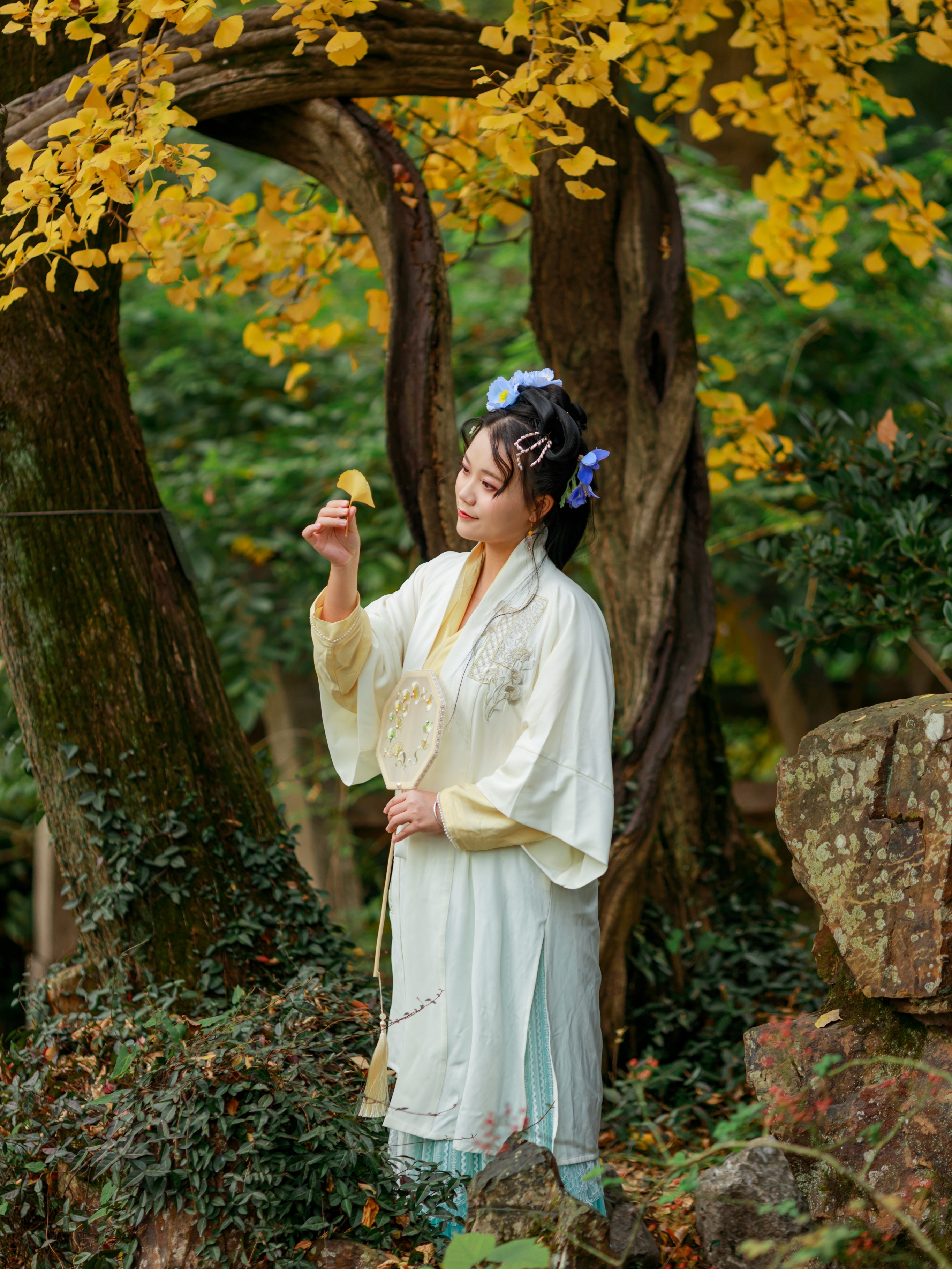 深情又婉约的秋词，枯黄了谁人的等待？