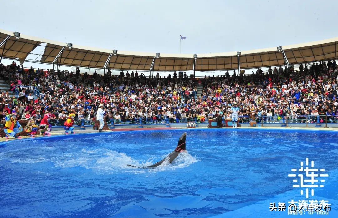 最新旅游景区发展,杭州大明山风景区五一攻略