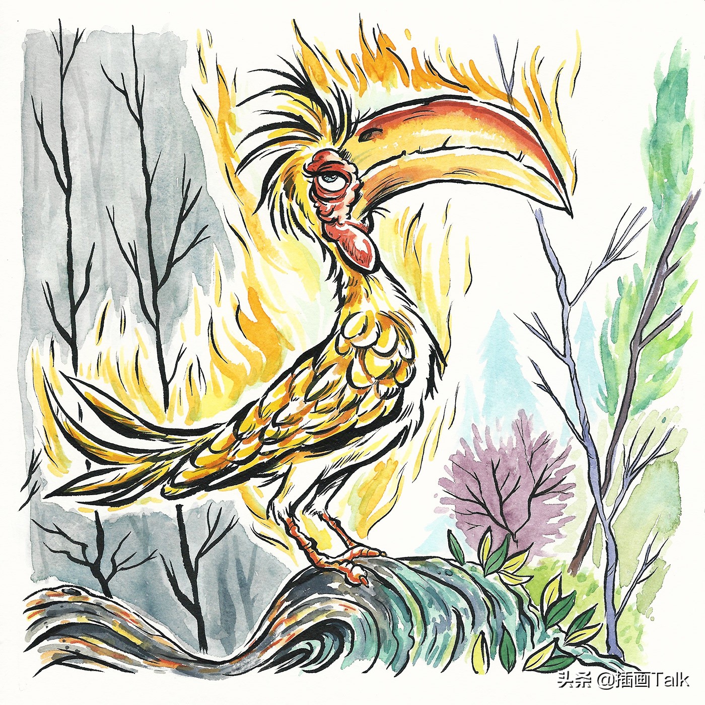 南非插画师,南非插画师作品