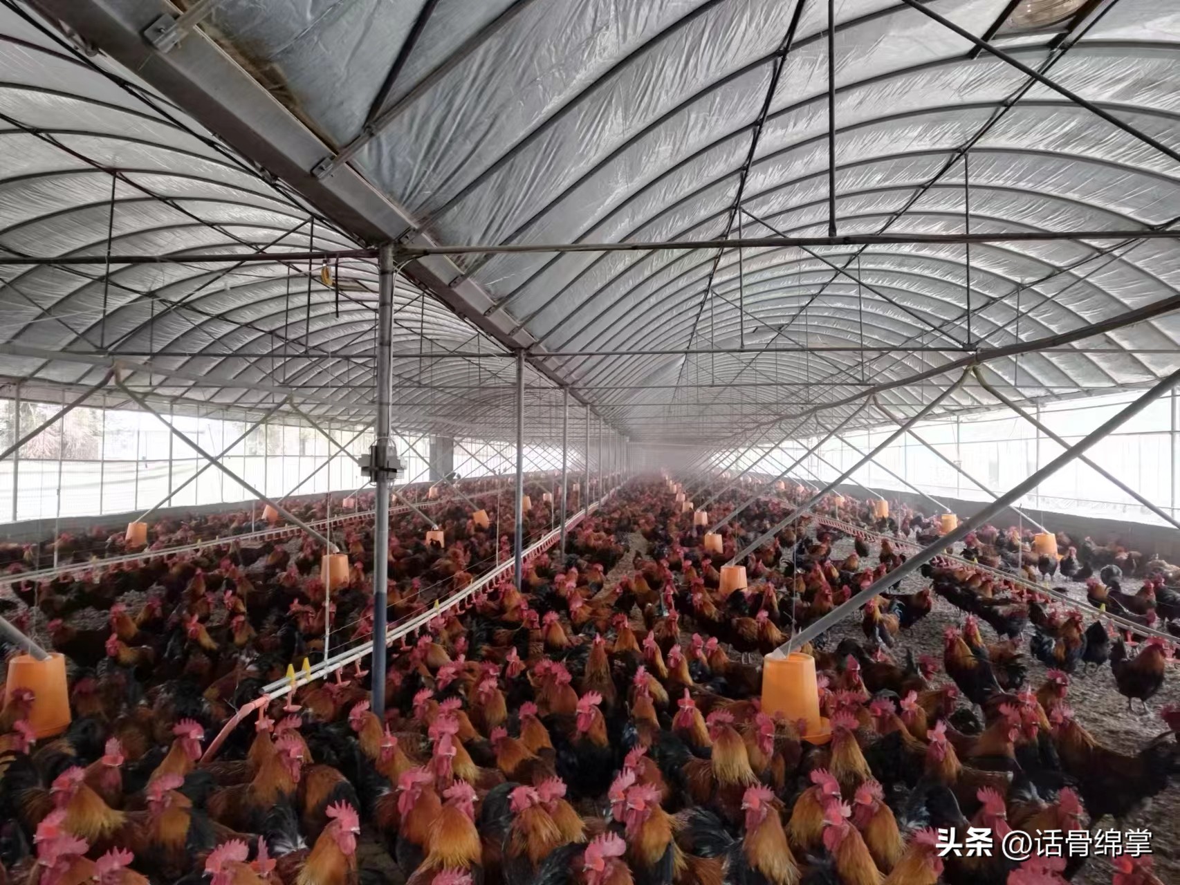 姹熸补骞虫鑱斿姩鍙戝睍,缁甸槼姹熸补鍗忓悓鍙戝睍