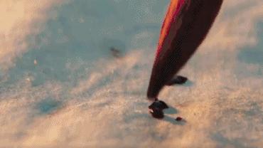 12月新片太太太太多了