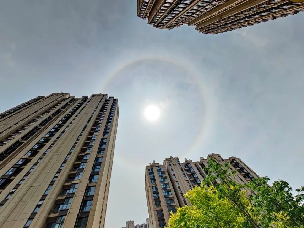 谁是影像机皇,谁才是手机机皇