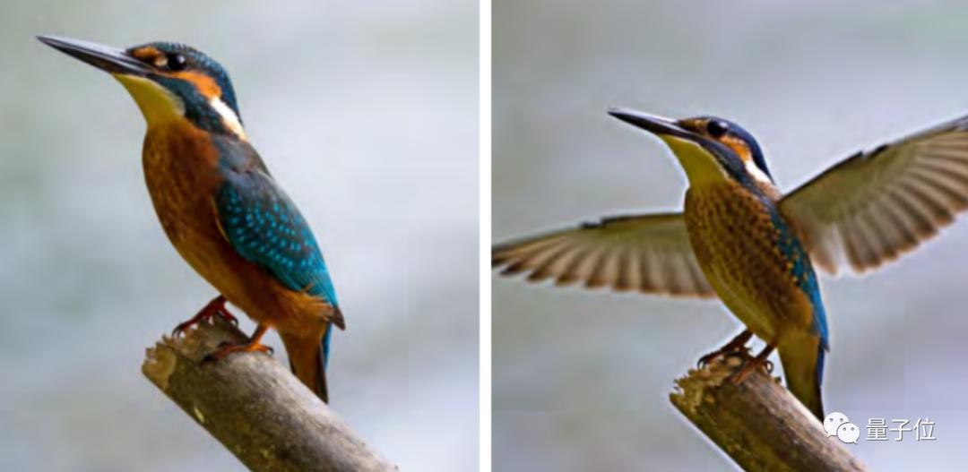 谷歌图片工具,谷歌图片压缩神器