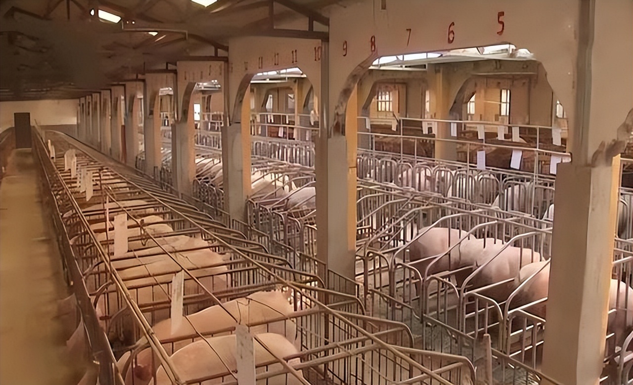 昔日拾荒少年靠变废为宝年入百万,80后小伙变废为宝养活全家