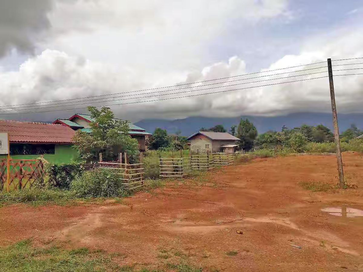 实拍老挝动物市场,老挝珍稀动物交易市场