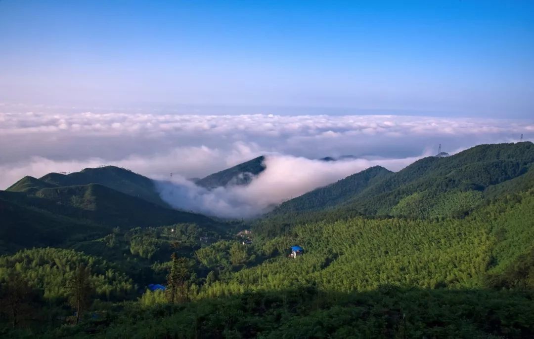 林海山水画作品欣赏,国内十大竹海排名