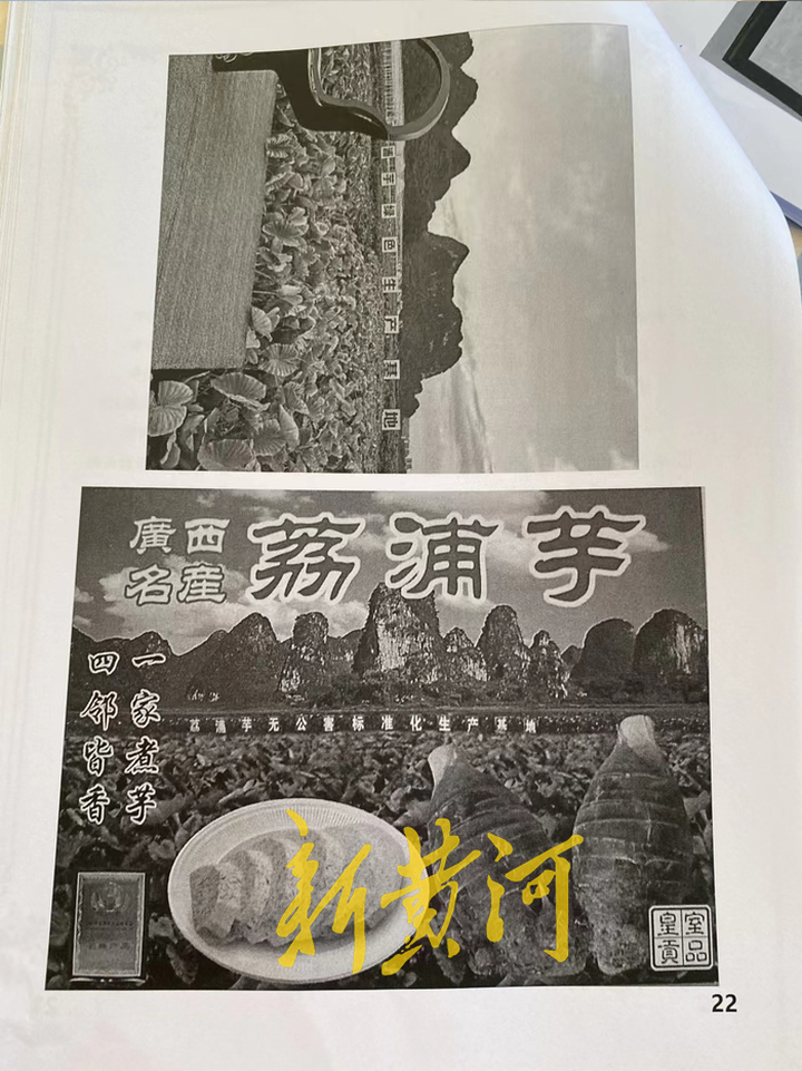 荔浦芋头商标侵权,荔浦芋事件后续