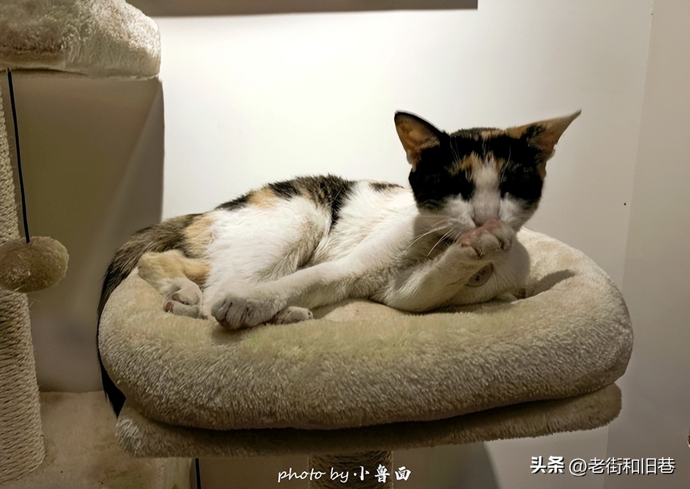 玩转云南自由行,昆明大理丽江6天5晚游多少钱