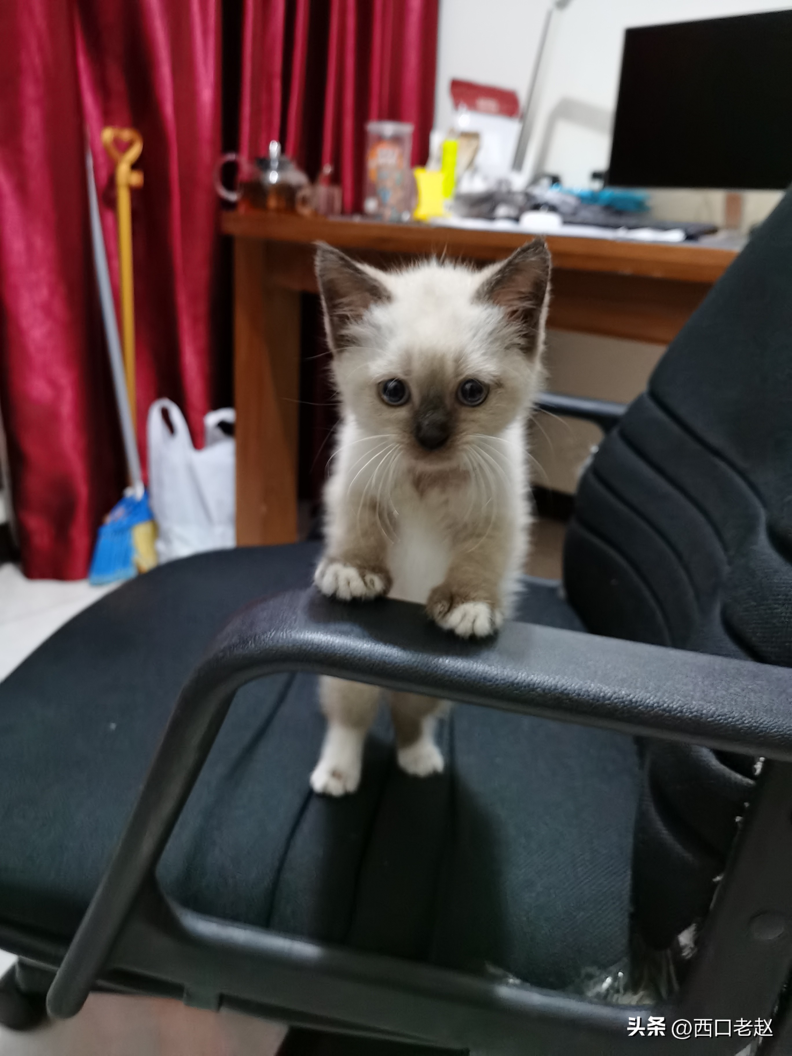 行走在国外的岁月33——致敬我的海外生涯