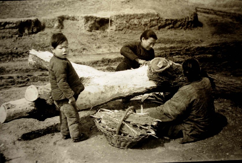 1942年，河南爆发大饥荒，档案记录下了当时的惨况