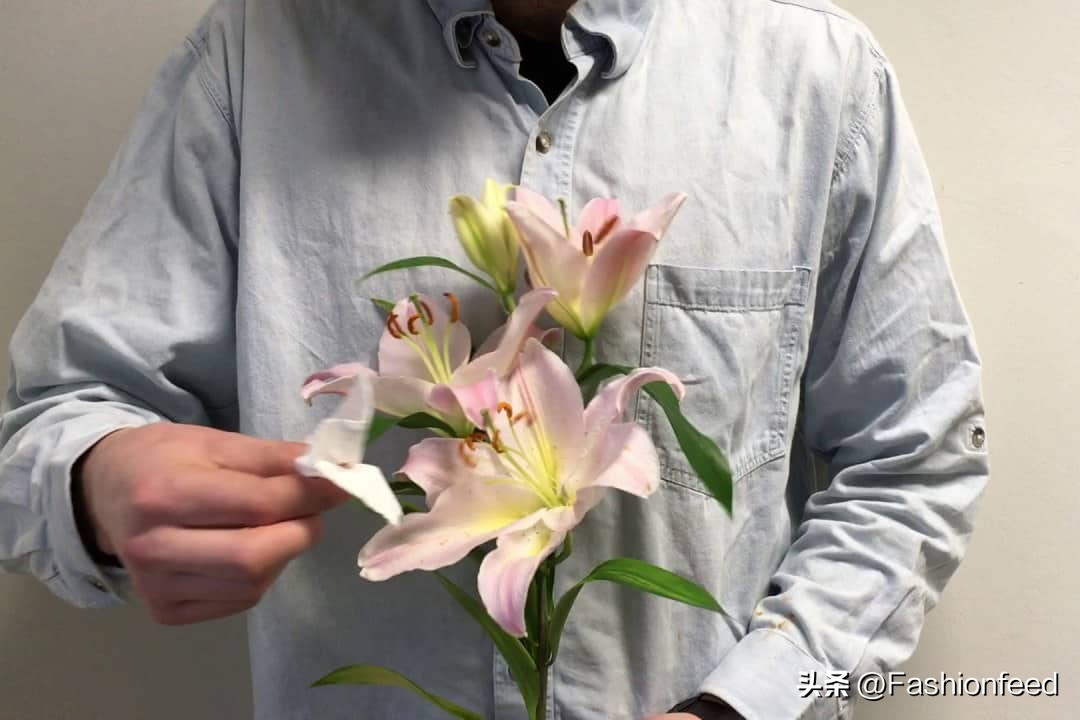 衣服上有花粉如何正确清理,番茄花粉沾衣服怎样去除