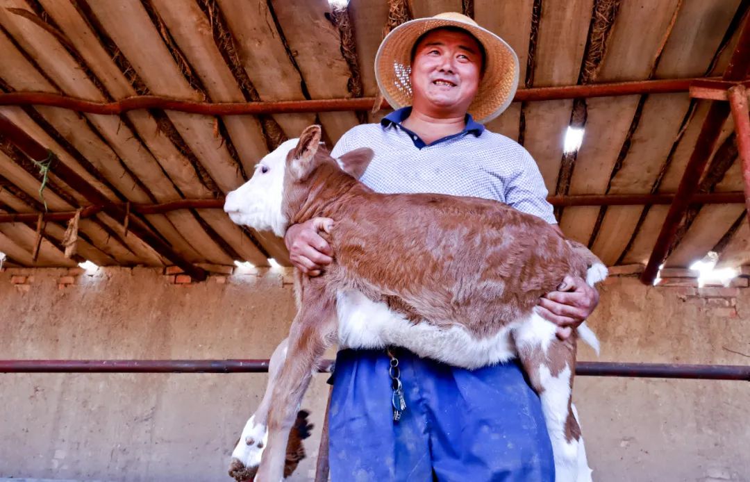 楂樺彴鍘块粦娉夐晣鑴辫传,閲戠墰璐峰姪鍏绘畺鎴峰疄鐜拌嚧瀵屾ⅵ